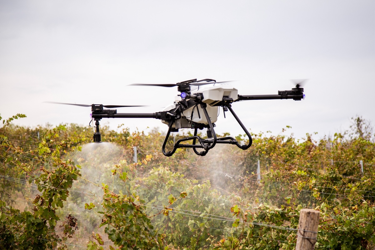 Un vigneto irrorato con il drone agricolo ABZ di Scaligera Drone Solutions