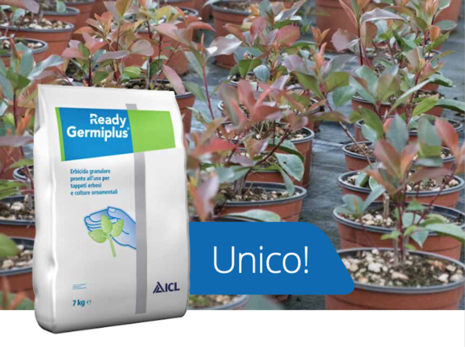 Ready Germiplus® è l'erbicida ideale in pre-emergenza perché agisce inibendo la germinazione dei semi e lo sviluppo dei germinelli