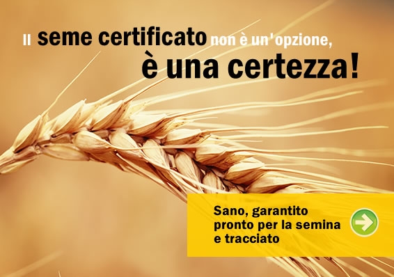 Semine cereali 2014: Assosementi ricorda l'importanza del seme certificato