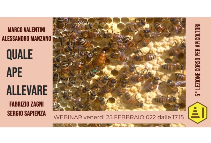 seminario-ape-allevare-by-apicolturaitalianafb-jpg