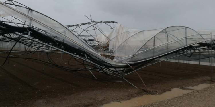 Una serra piegata e sfondata dal peso della pioggia a Battipaglia, dove Confagricoltura stima danni per un milione di euro