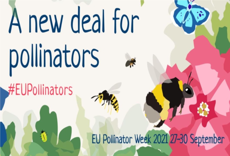 settimana-europea-impollinatori-by-pollinatorweekeu-jpg