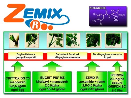 Zemix R, il nuovo fungicida di Siapa 
