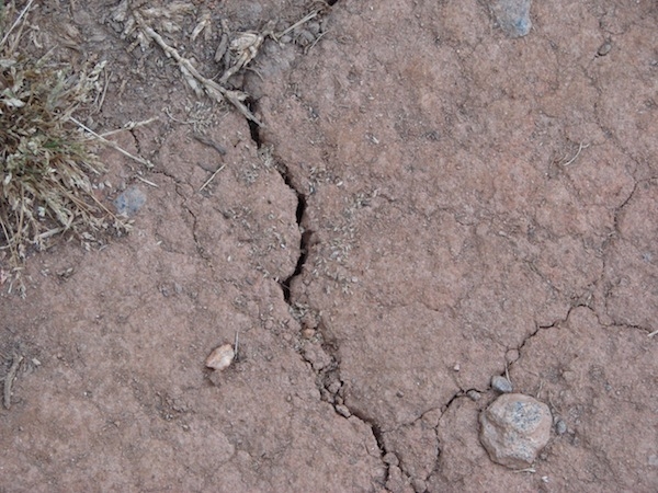 Allarme siccità: una delle conseguenze dell'assenza di precipitazioni negli ultimi mesi del 2015