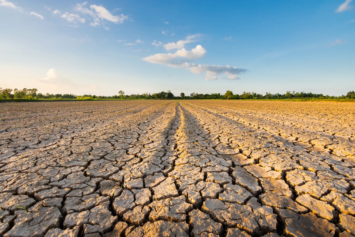 Nella Legge le disposizioni per il contrasto alla siccità