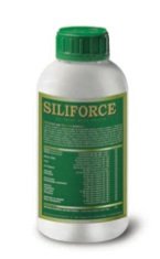 L'impiego di Siliforce favorisce la resistenza a numerosi agenti di stress, fisiologici e parassitari