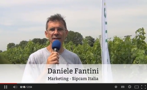 Daniele Fantini, responsabile marketing per Sipcam