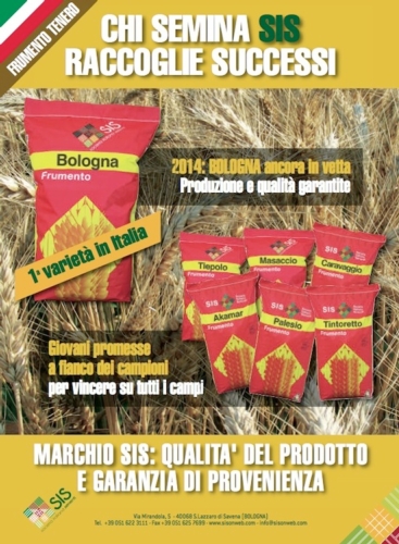 Sis: 'Si registra ancora una volta lo straordinario successo della varietà ‘Bologna’, la più coltivata in Italia da quattro anni'