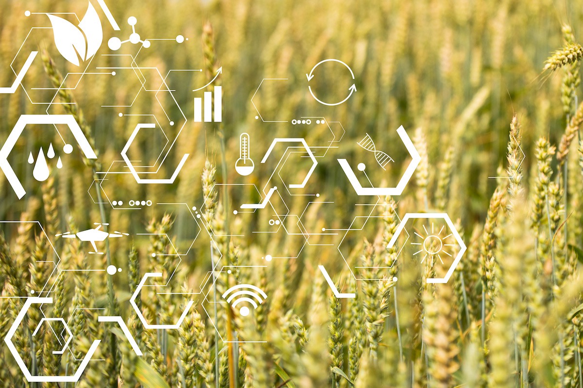 smart-farming-agricoltura-digitale-by-smart-future-adobe-stock-1200x800.jpeg