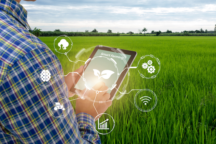 smart-farming-agricoltura-digitale-tecnologie-innovative-by-monopoly919-adobe-stock-750x500.jpeg