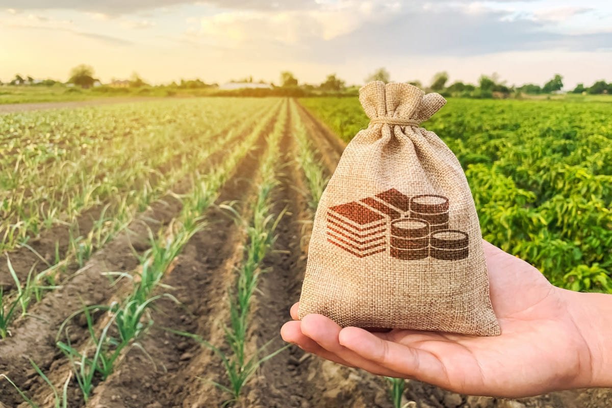 Aiuti in agricoltura: in arrivo i fondi per le filiere strategiche