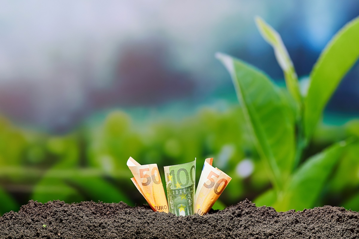 Soldi, banconote di 50 e 100 euro arrotolate nella terra, piante sullo sfondo