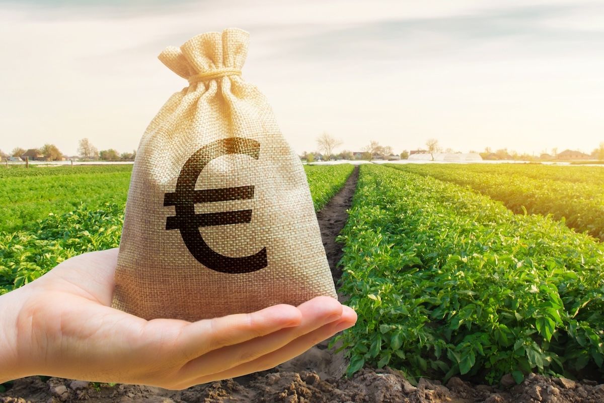 Merito creditizio e banche: guarda il video