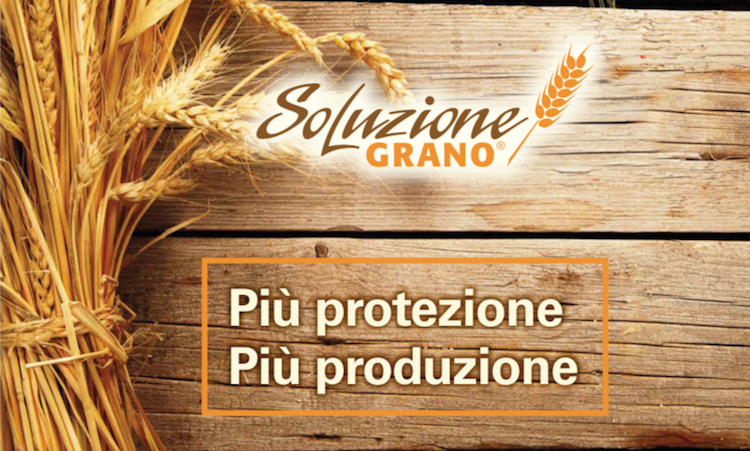 La coltura del frumento da sempre rappresentato il fondamento dell’agricoltura italiana per quanto riguarda le colture estensive