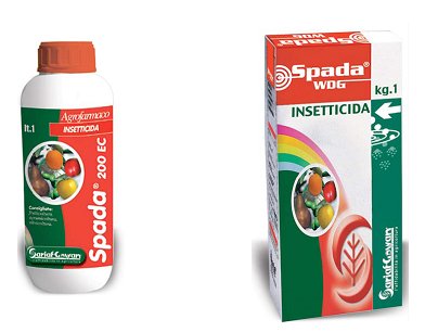 Spada, un'efficace risposta alla cocciniglia dell'olivo - Difesa e diserbo  - AgroNotizie