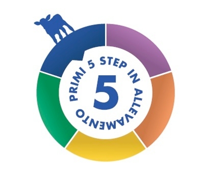Come comportarsi nei primi cinque giorni di vita del vitello? Il documento informativo di Sprayfo offre un quadro completo e ricco di consigli