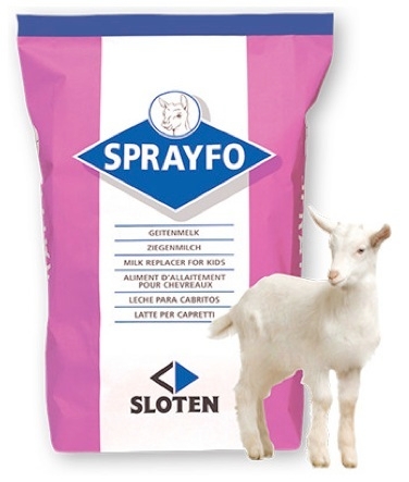 Sloten consiglia di svezzare un capretto con circa 10-11 kg. di latte in polvere