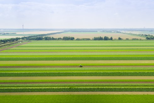 La strip cultivation è diffusa soprattutto nel Nord Europa