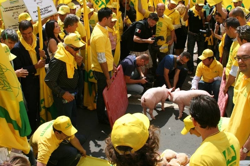  Un momento della manifestazione che ha visto protagonisti a Milano i suinicoltori