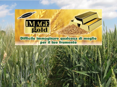 Image Gold di Sumitomo Chemical Italia