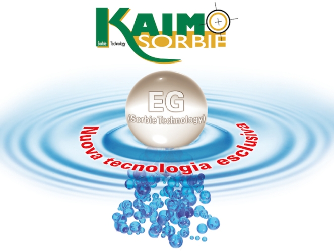 Kaimo Sorbie. EC + WG = EG La nuova formula dell'efficacia