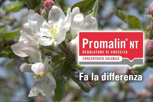 La proposta di Sumitomo Chemical Italia per i frutticoltori