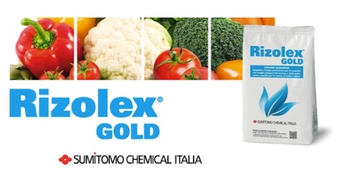 Rizolex Gold di Sumitomo Chemical Italia