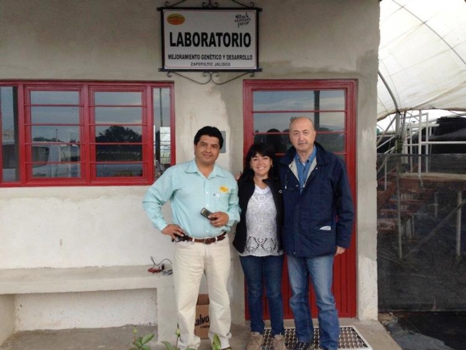 Da destra: Alessio Martinelli, responsabile R&S Civ, Nicole Heweston, breeder piccoli frutti di SunBelle e il responsabile logistico Sunbelle