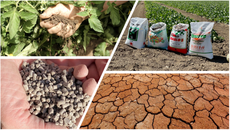 Il valore aggiunto dei fertilizzanti ecologici Unimer per combattere la desertificazione dei suoli - le news di Fertilgest sui fertilizzanti