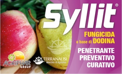 Autorizzata una dose più alta di Syllit contro la ticchiolatura del melo e del pero