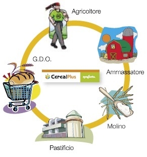 Syngenta a supporto della filiera cerealicola italiana