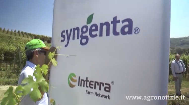 Syngenta ha presentato Interra Farm Network a Monteu Roero (Cn), presso l'azienda agricola Negro