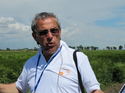 Luigi Toriaco, Field Expert cereali Syngenta di Puglia, Abruzzo e Molise