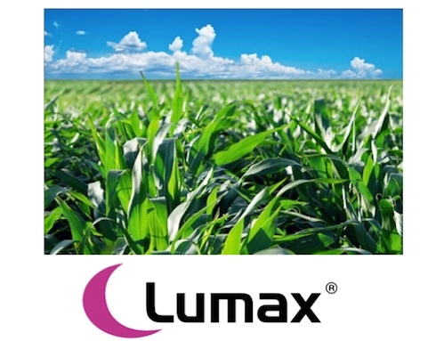LUMAX, il diserbante efficace e selettivo per i pre-emergenza del mais