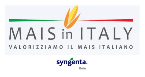 syngenta-mais-in-italy1.png