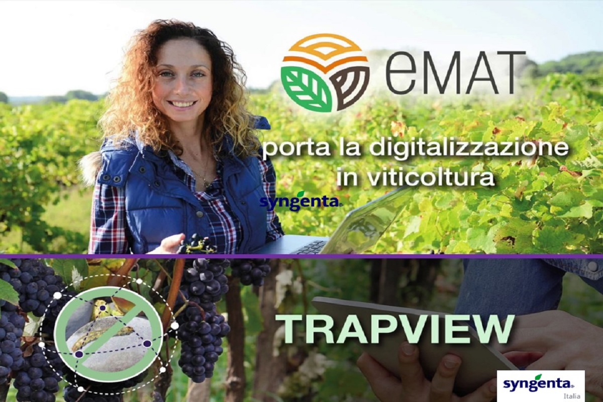 Due sono gli strumenti sviluppati per i produttori vitivinicoli: Trapview ed eMat