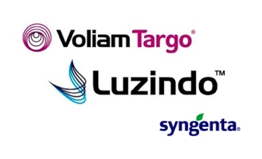 Voliam Targo e Luzindo: le novità insetticide Syngenta per il 2012