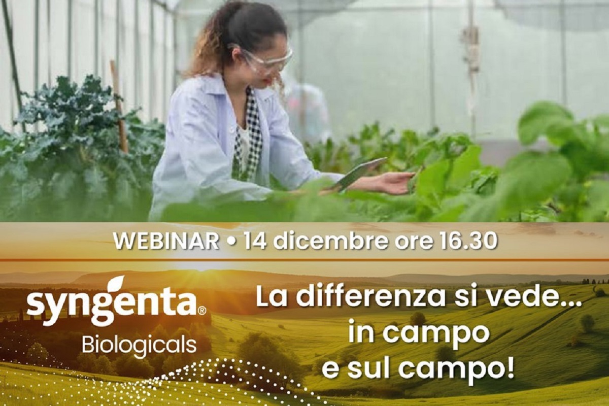 Un webinar divulgativo di Syngenta dedicato a viticoltori, cerealicoltori e coltivatori di pomodoro da industria