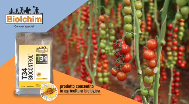 T34 è consentito in agricoltura biologica