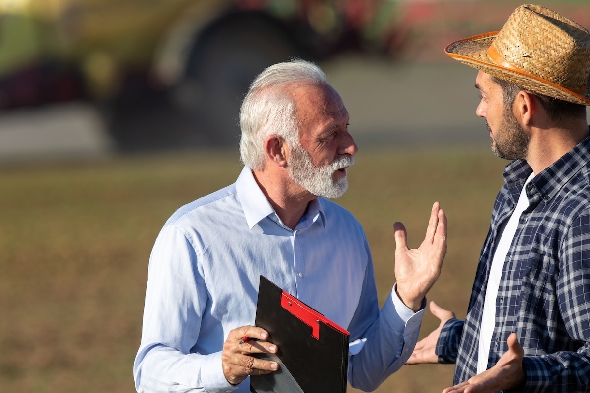 Alberi che sconfinano, l'avvocato risponde