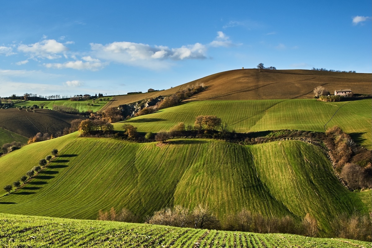 Terreni agricoli, campagne con aziende agricole in Italia: al via il bando Bta