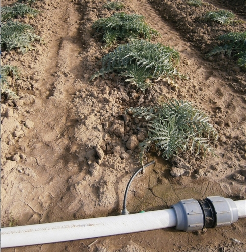 Testata e partenza di un impianto di subirrigazione Netafim