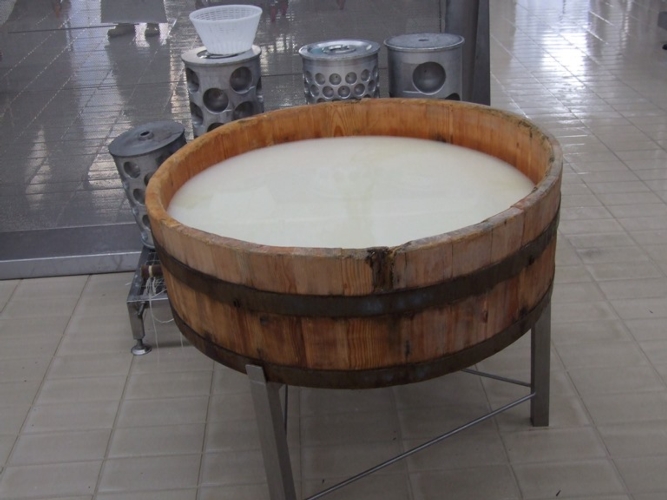 Tradizione e innovazione convivono nell'industria lattiero casearia: un tino in legno per la cagliata del latte di bufala e stampi in acciaio di una moderna formatrice per la produzione di Mozzarella di Bufala Campana Dop