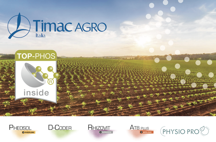 Timac Agro Italia segue con molta attenzione le coltivazioni offrendo al mercato prodotti altamente innovativi e performanti