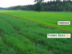 Turbo Seed Zn, caratteristiche distintive per il concime 'effetto starter' di Tradecorp