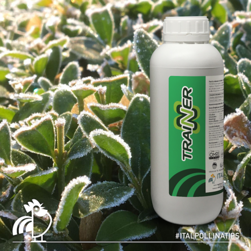 Il formulato è di origine vegetale contenente i peptidi e gli aminoacidi più utilizzati nei processi biosintetici delle piante