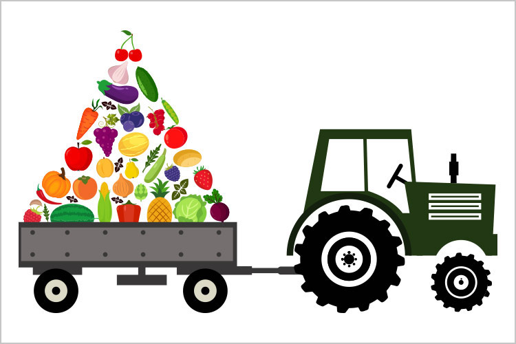 Mezzi agricoli, fondamentali per l'approvvigionamento alimentare (Foto di archivio)