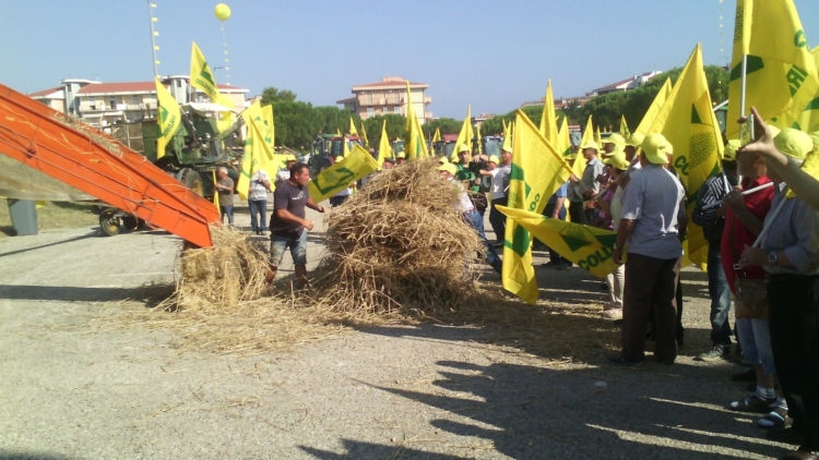 Trebbiatura di protesta della Coldiretti, in una delle manifestazioni tenutesi venerdì scorso
