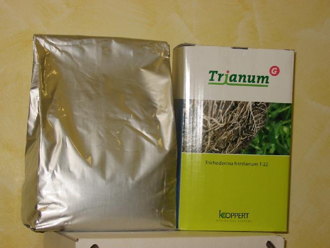 Trianum G, contro Fusarium spp su ciclamino