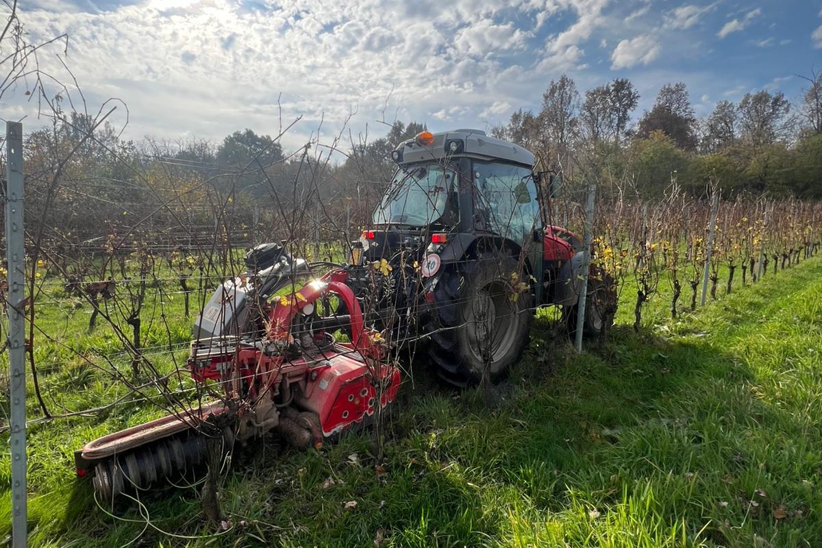 L'esperienza della Cantina Enrico Crola
